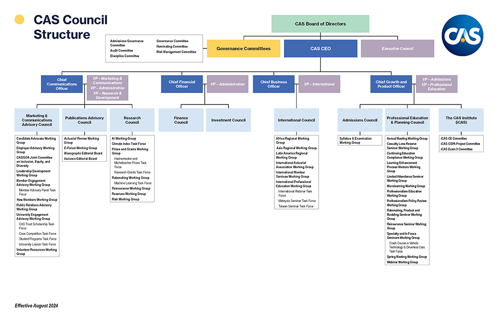 CAS Council Structure