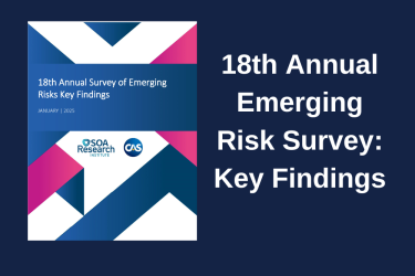 Emerging Risks 2025 Key Findings